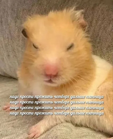 Прожить четверг до пятницы