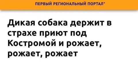 Собака рожает без остановки
