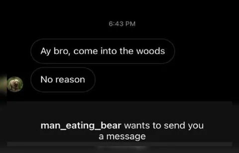 Come Into the Woods