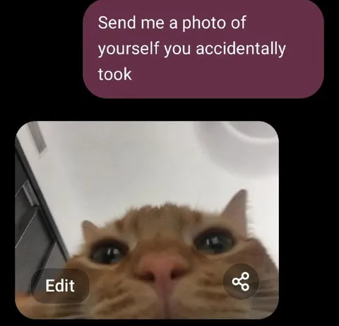 Accidental Cat Selfie