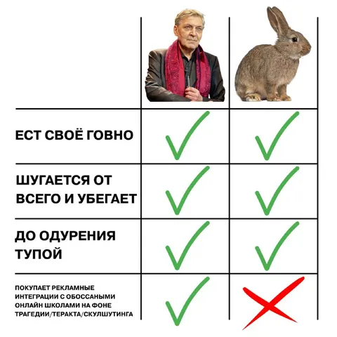 Невзоров и трусливый кролик