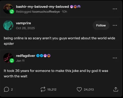 World Wide Spider Joke