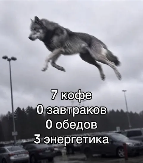 Семь кофе и три энергетика