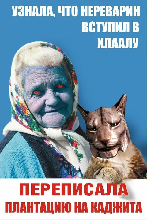 Переписала плантацию на каджита