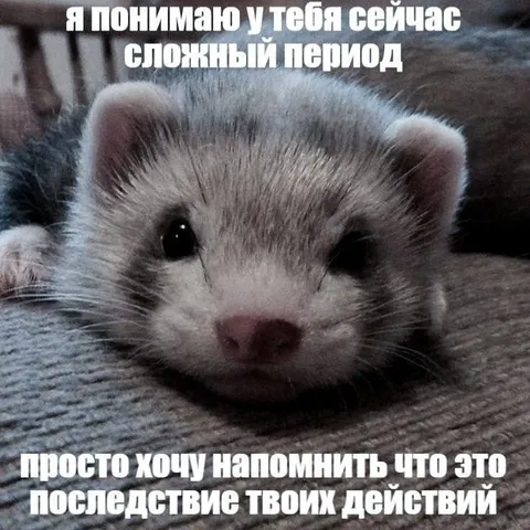 Последствие твоих действий