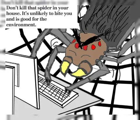 Don’t Kill the House Spider