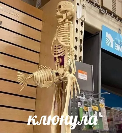 Клюнула рыба