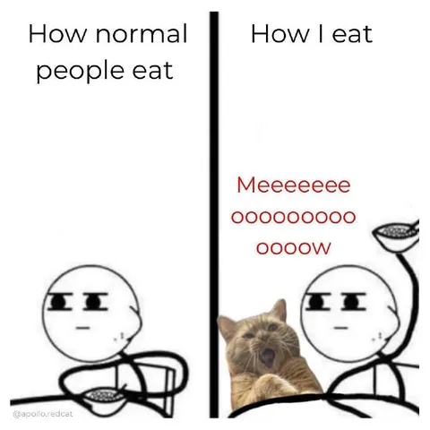How Normal People Eat vs Me