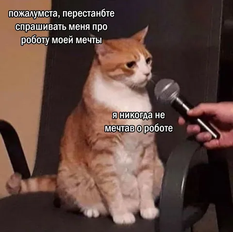Кот не мечтал о работе