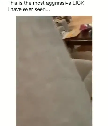 The Most Aggressive Lick