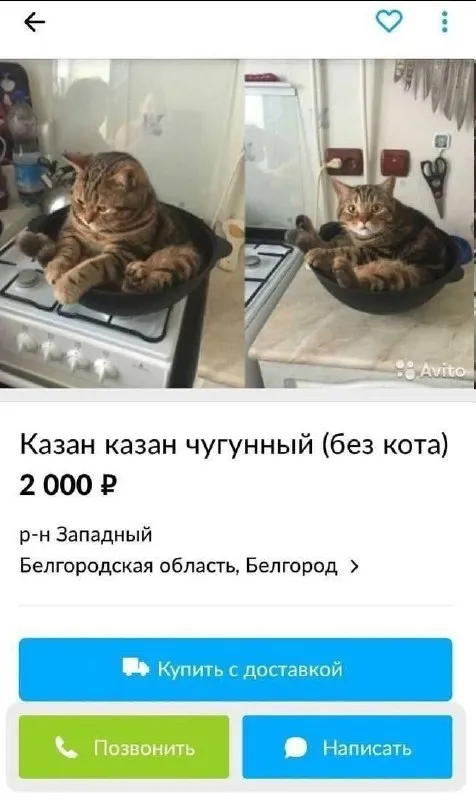Казан без кота
