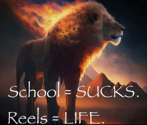 School Sucks Reels Life
