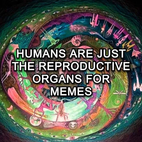 Humans Are Meme Organs