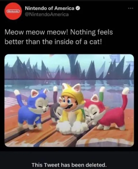 Inside of a Cat Deleted Tweet