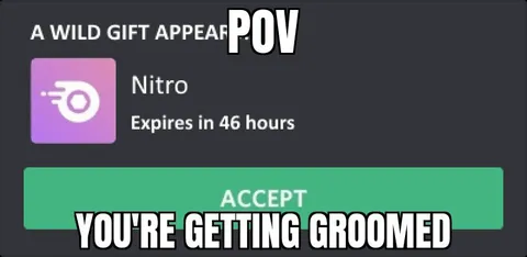 Discord Nitro Grooming Gift