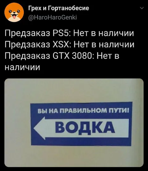 Предзаказ видеокарт и водка