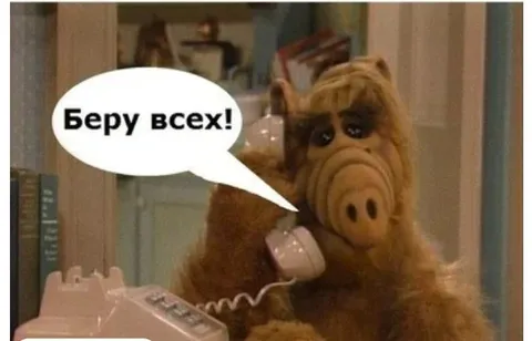 Беру всех!