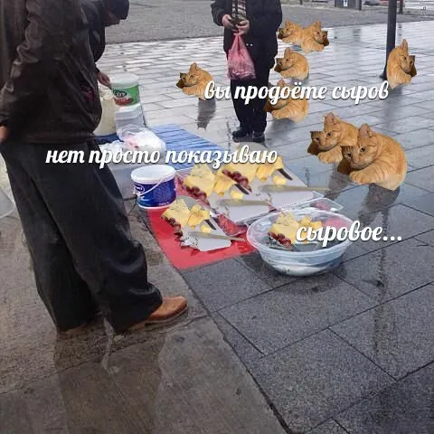 Просто показываю сыр