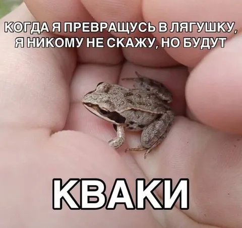 Когда я превращусь в лягушку
