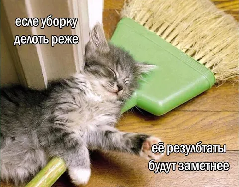 Котёнок и уборка пореже