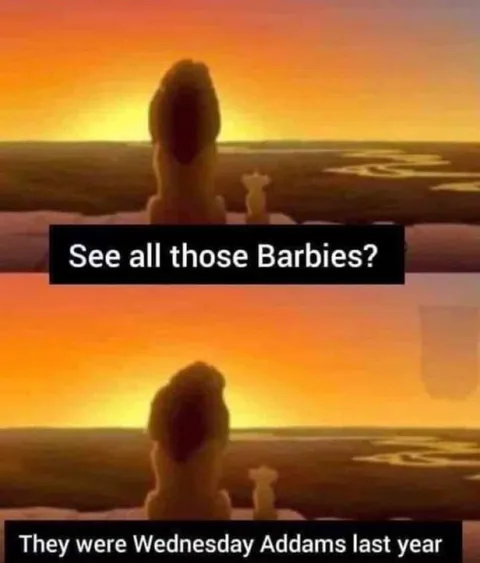 Barbies Were Wednesday Addams