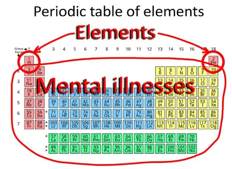 Elements of Mental Illness