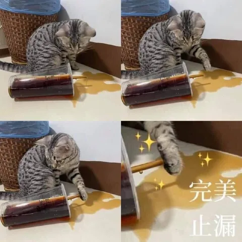 猫爪完美止漏
