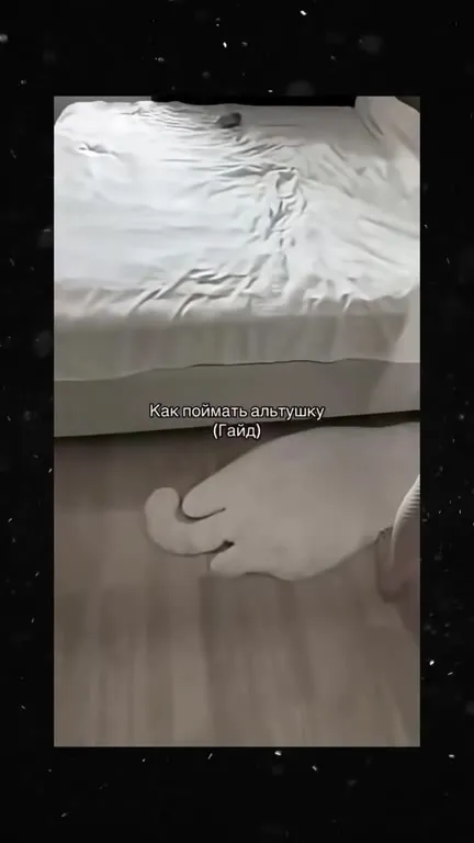 Как поймать альтушку: гайд