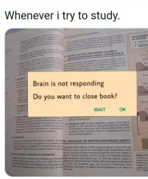 Brain Is Not Responding While Studying