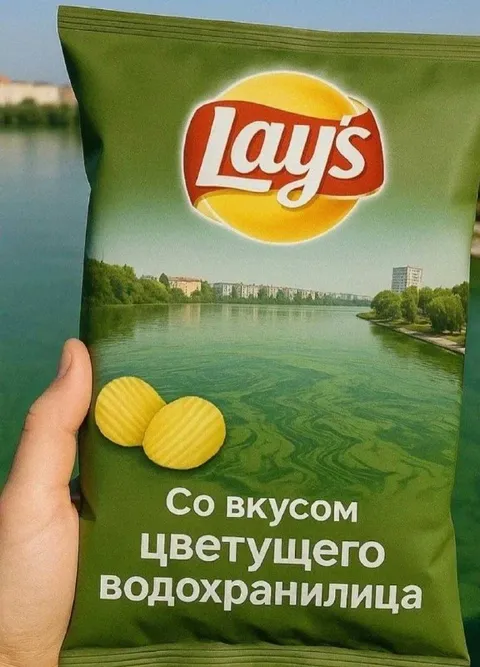 Чипсы со вкусом водохранилища