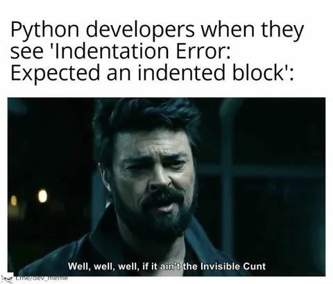 Python Developers Meet the Invisible Cunt