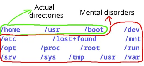 Linux Directories Mental Disorders