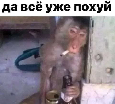 Да всё уже похуй