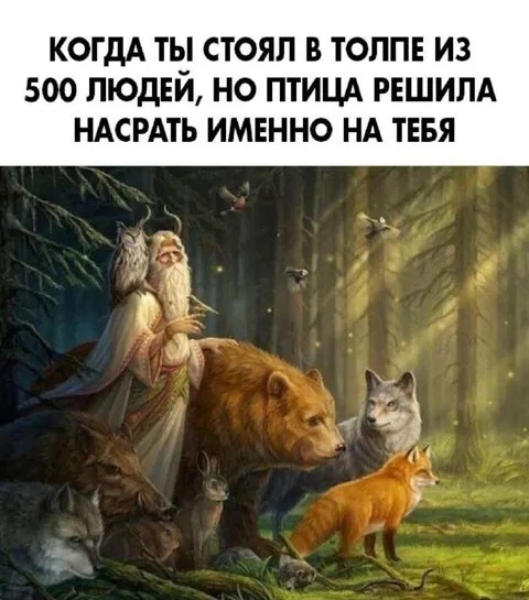 Птица нагадила именно на тебя