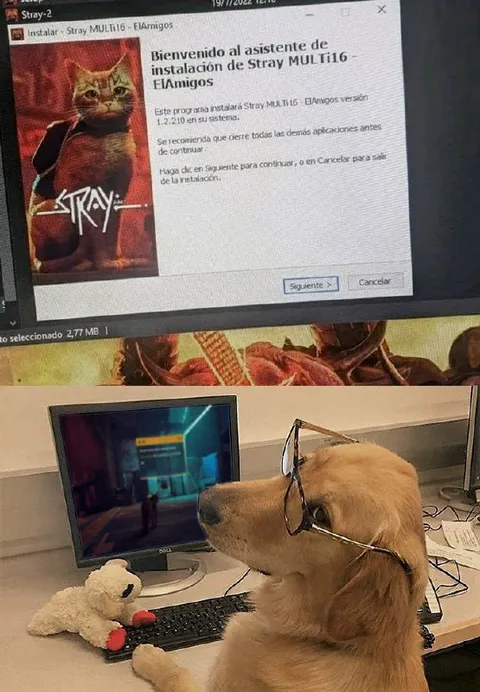Perro instalando Stray
