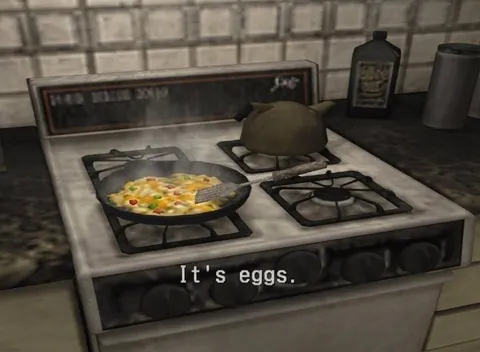 It's Eggs Cooking Meme