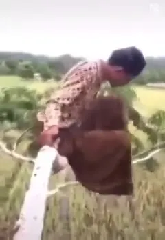 Мужчина падает с дерева