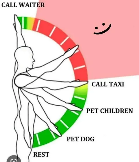 Call Waiter or Pet Dog