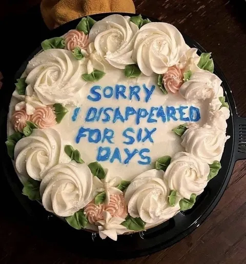 Sorry I Disappeared for Six Days