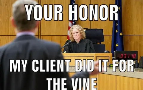 My Client Did It for the Vine