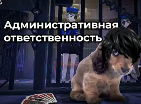 Административная ответственность