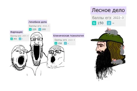 Лесное дело против медицины