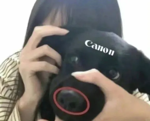 Фотограф с камерой Canon