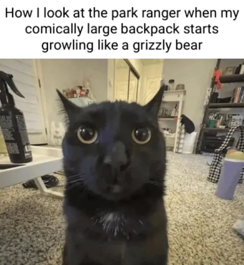 Black Cat Glares at Park Ranger