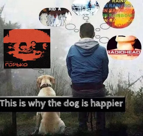 This Is Why the Dog Is Happier