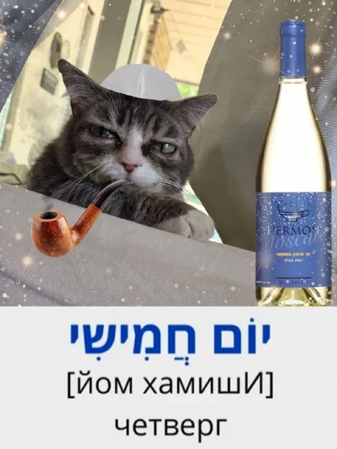 Кот празднует четверг