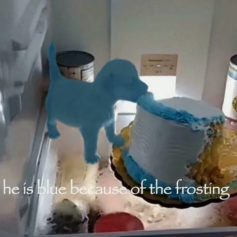 Blue Dog Because of Frosting
