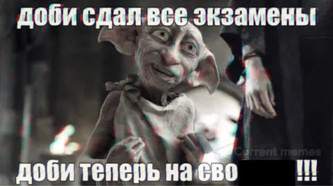 Добби сдал экзамены на СВО