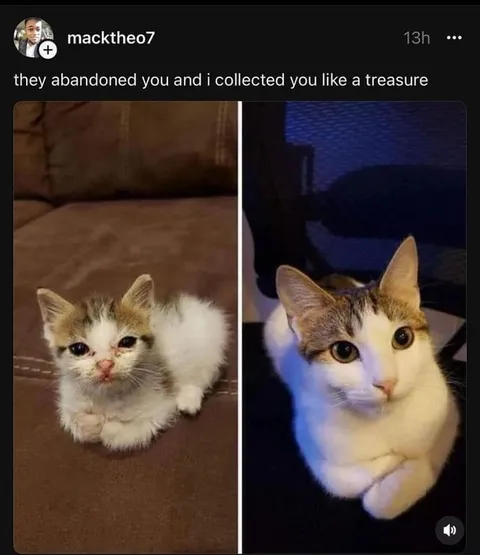 Collected You Like Treasure