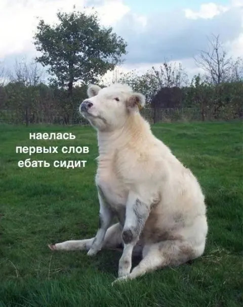 Наелась первых слов и сидит